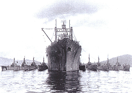 Anthedon in Subic Bay